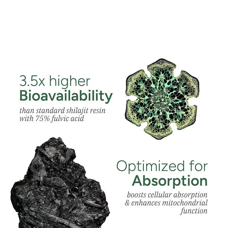 WISHCA | Gold Standard Shilajit Gummies | 75% Fulvic Acid & Ashwagandha | Pure Energy from the Himalayas(60ct)