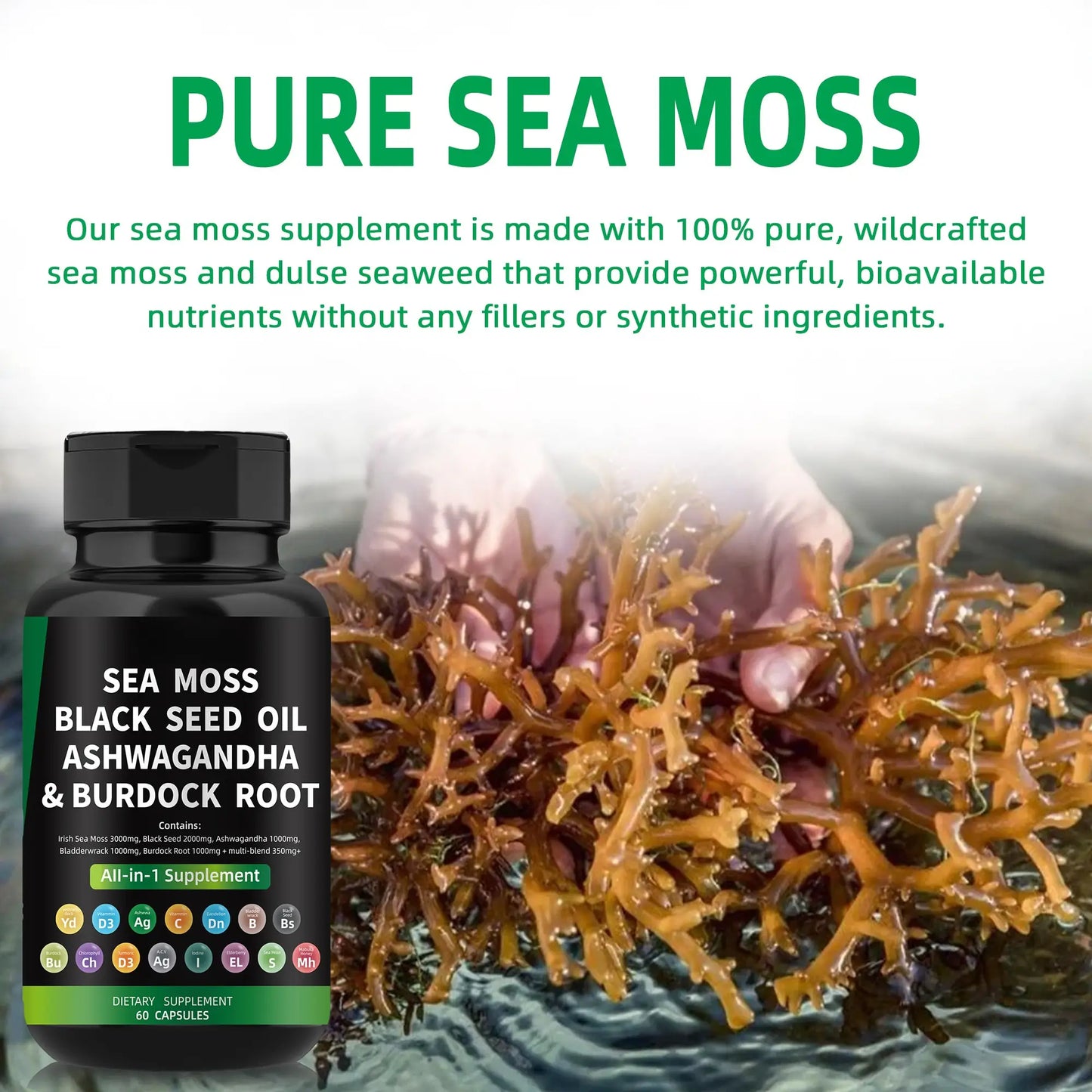 WISHCA Sea Moss Capsules: Unleash Nature's Power for Your Holistic Wellness